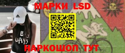 стафф Новодвинск
