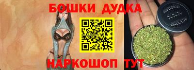 гидропоника Новозыбков