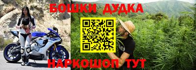гидропоника Новозыбков