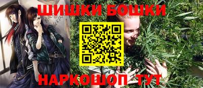 прущие грибы Новокубанск